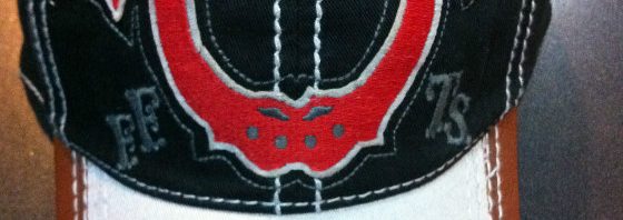 Boné True Religion