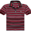 Camisa Polo Burberry