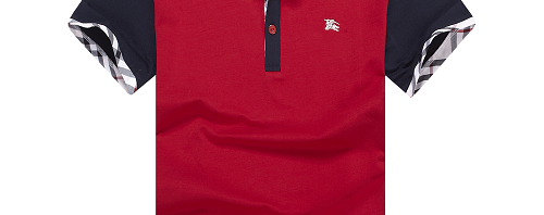 Camisa Polo Burberry