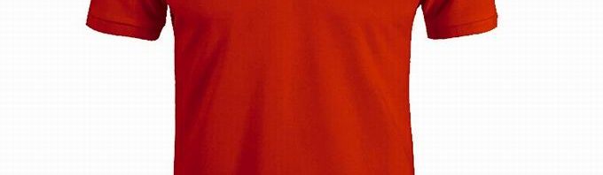 Camisa polo Hermes