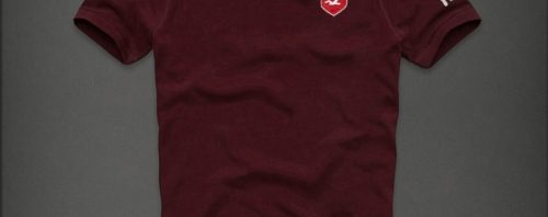 Camiseta Hollister