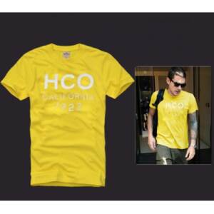 Camiseta Hollister