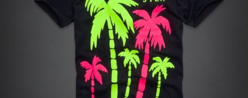 Camiseta Hollister