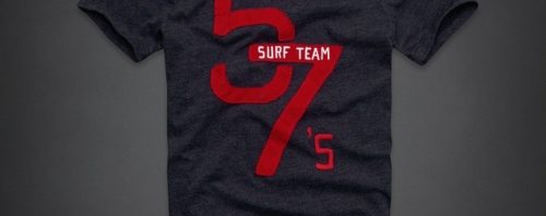 Camiseta Hollister