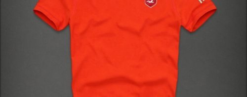 Camiseta Hollister