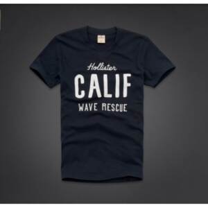 Camiseta Hollister