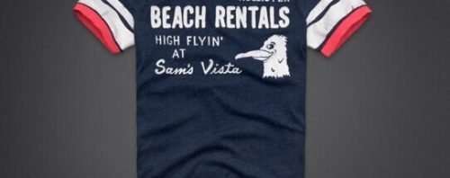 Camiseta Hollister