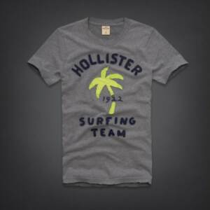 Camiseta Hollister