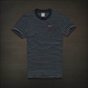 Camiseta Hollister