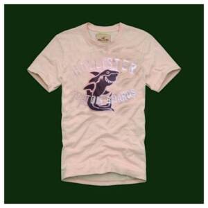 Camiseta Hollister