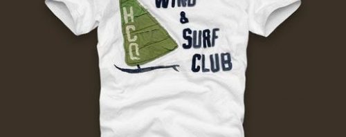 Camiseta Hollister