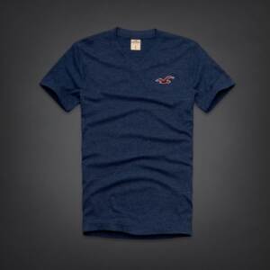 Camiseta Hollister