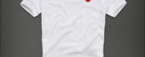 Camiseta Hollister
