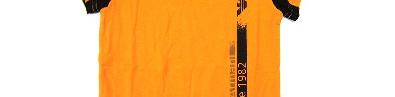 Camiseta Infantil Emporio Armani