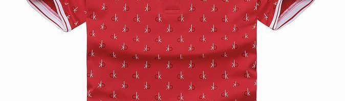 Camiseta Polo Calvin Klein