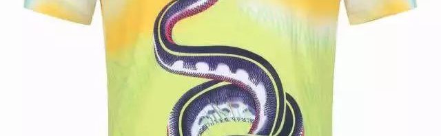 Camisetas Gucci