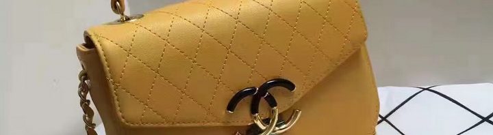 Chanel bolsa de couro Chanel