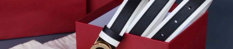 Cinto de Couro Salvatore Ferragamo