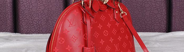Louis Vuitton Bolsa de couro Louis Vuitton