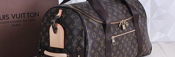 Louis vuitton Bolsa de couro Louis Vuitton